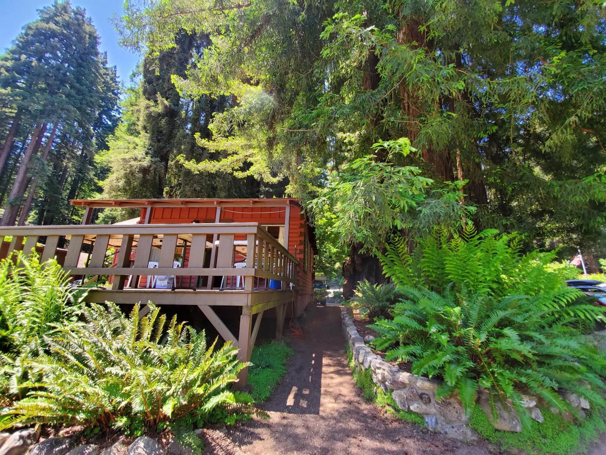 Fern River Resort Felton Εξωτερικό φωτογραφία