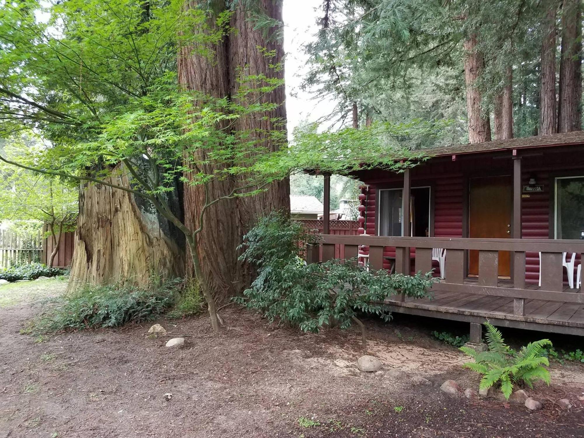 Fern River Resort Felton Εξωτερικό φωτογραφία
