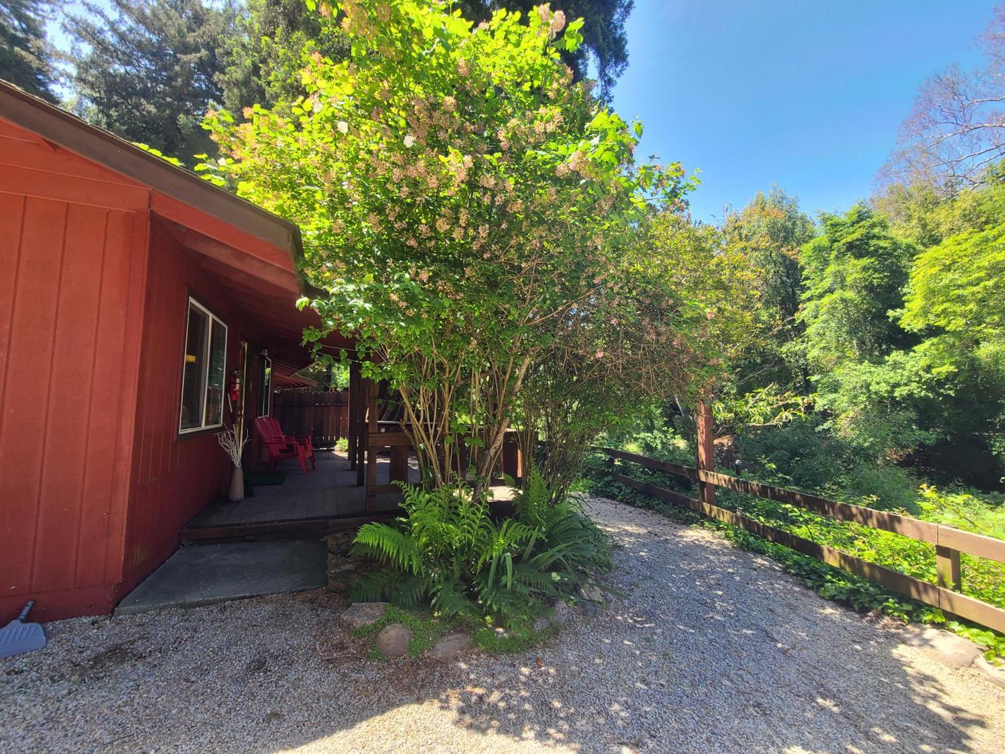 Fern River Resort Felton Εξωτερικό φωτογραφία
