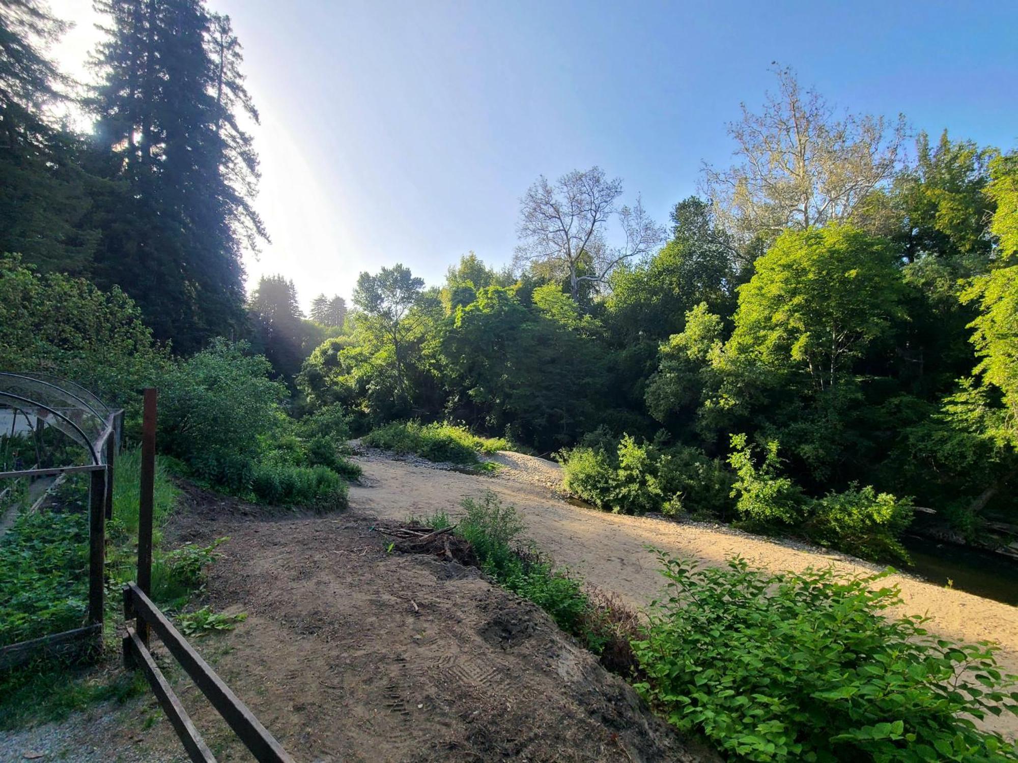 Fern River Resort Felton Εξωτερικό φωτογραφία