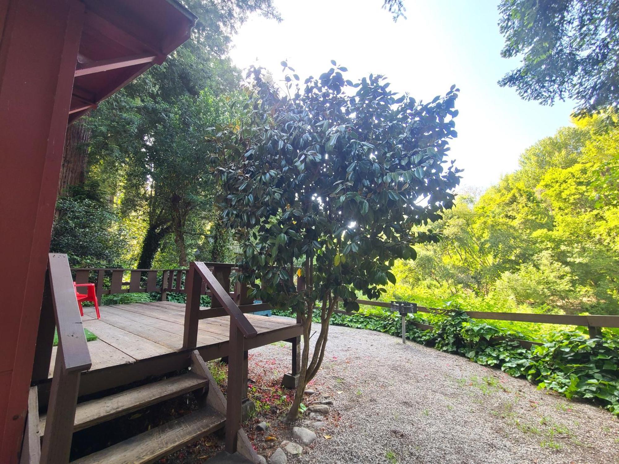 Fern River Resort Felton Εξωτερικό φωτογραφία
