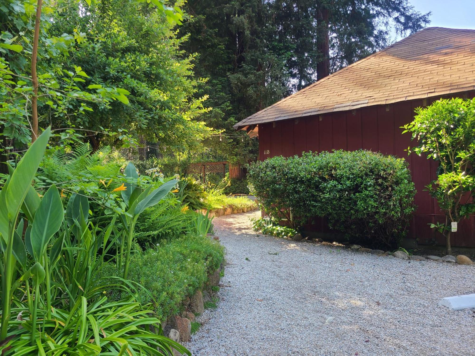 Fern River Resort Felton Εξωτερικό φωτογραφία